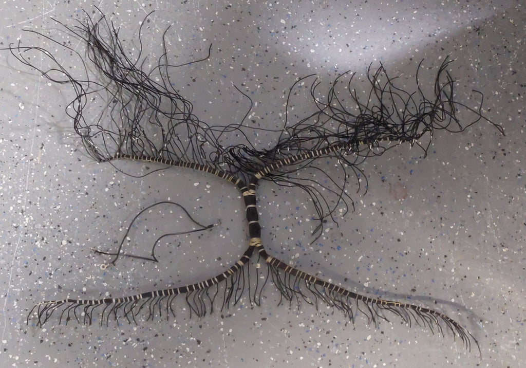 Keyboard / Generator Coupling Wire Harness with Ground Strap