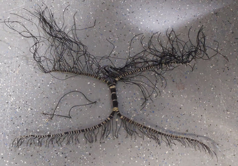 Keyboard / Generator Coupling Wire Harness with Ground Strap