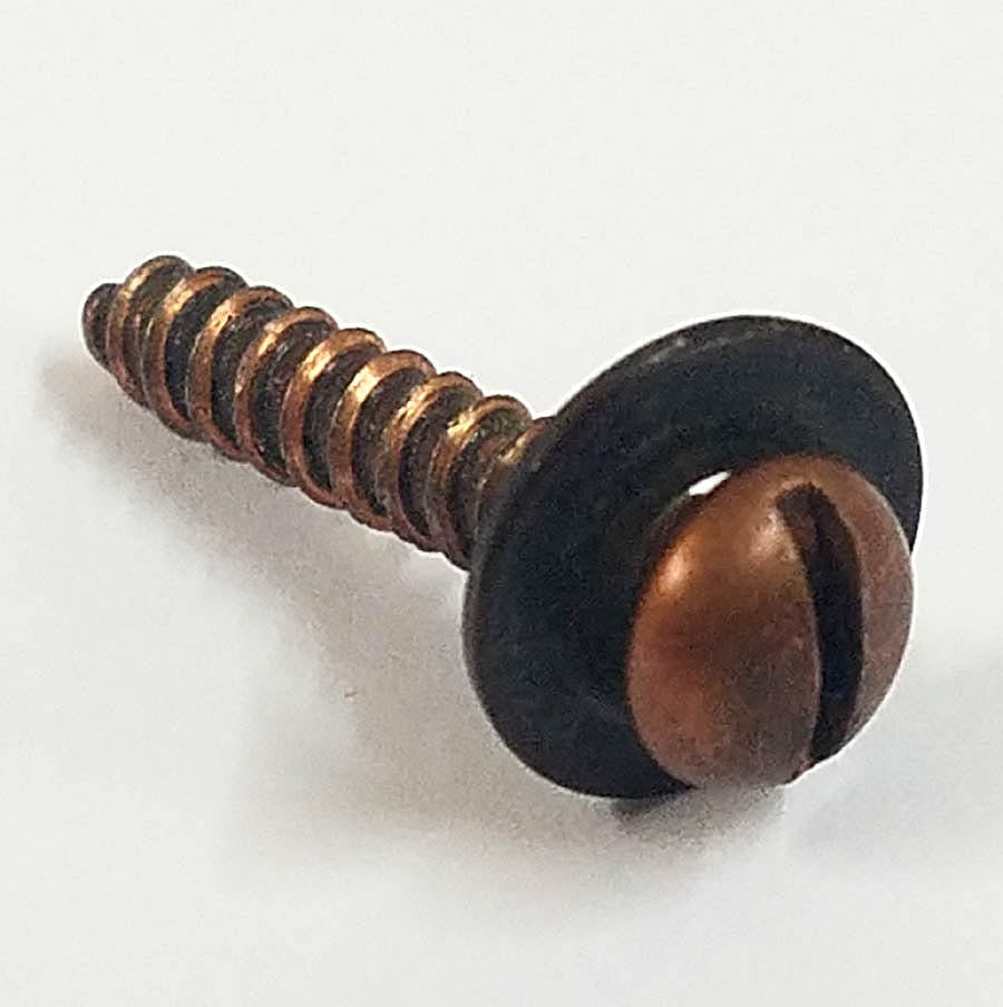 Screw for Back Panel A100 / M / L series Organs (round head)